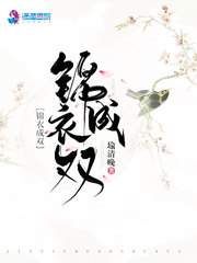 锦衣成双笔趣阁