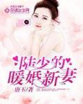 陆少的暖婚新妻小说全文免费阅读336