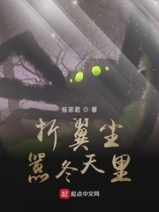 折翼什么