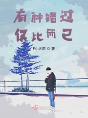 有种错过仅此而已小说全文免费阅读百度云