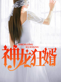 神龙狂婿 林凡