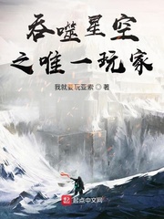 吞噬星空之唯一玩家小说阅读免费全文