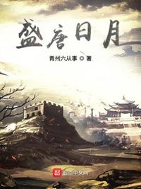 盛唐日月介绍