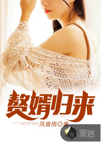 赘婿归来小说在线阅读无弹窗